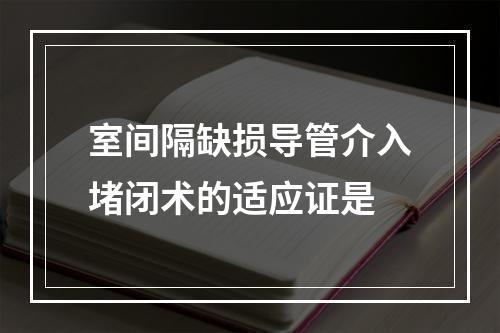 室间隔缺损导管介入堵闭术的适应证是