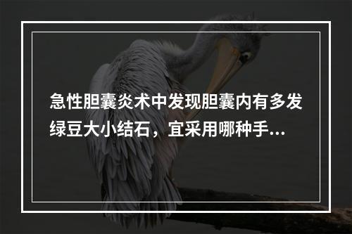 急性胆囊炎术中发现胆囊内有多发绿豆大小结石，宜采用哪种手术？