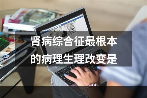 肾病综合征最根本的病理生理改变是