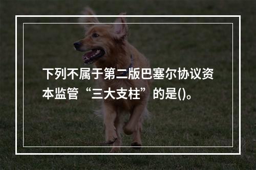 下列不属于第二版巴塞尔协议资本监管“三大支柱”的是()。