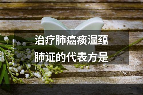 治疗肺癌痰湿蕴肺证的代表方是