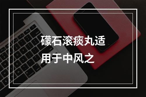 礞石滚痰丸适用于中风之