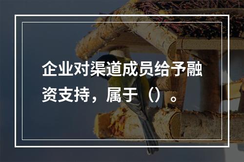 企业对渠道成员给予融资支持，属于（）。