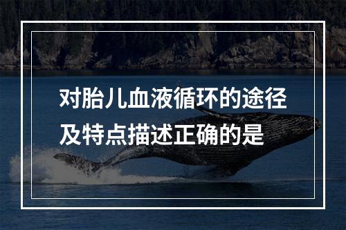 对胎儿血液循环的途径及特点描述正确的是