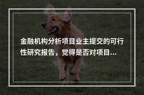 金融机构分析项目业主提交的可行性研究报告，觉得是否对项目提供