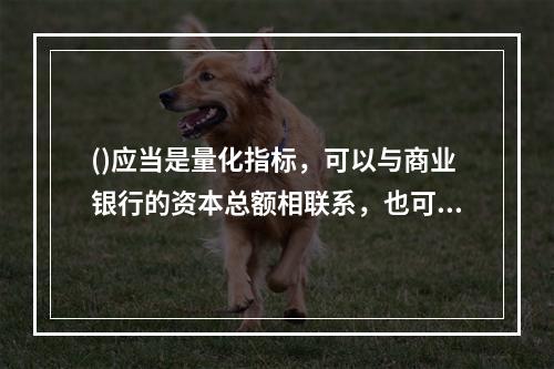 ()应当是量化指标，可以与商业银行的资本总额相联系，也可以与