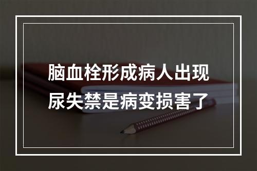 脑血栓形成病人出现尿失禁是病变损害了