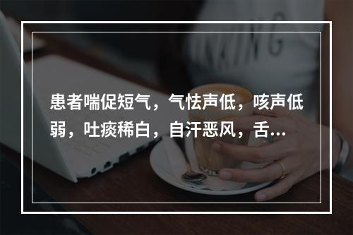 患者喘促短气，气怯声低，咳声低弱，吐痰稀白，自汗恶风，舌淡，