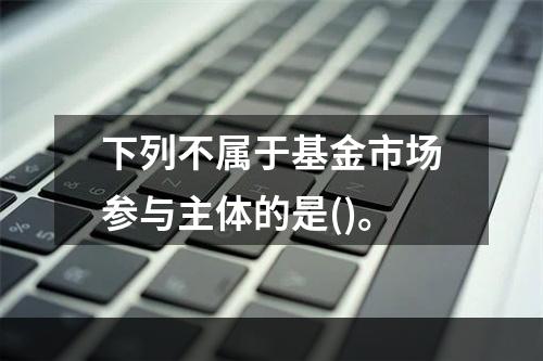 下列不属于基金市场参与主体的是()。