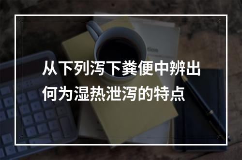 从下列泻下粪便中辨出何为湿热泄泻的特点