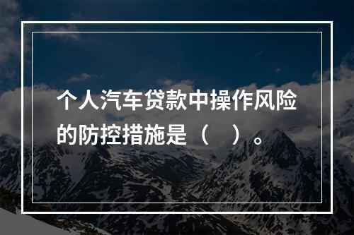 个人汽车贷款中操作风险的防控措施是（　）。