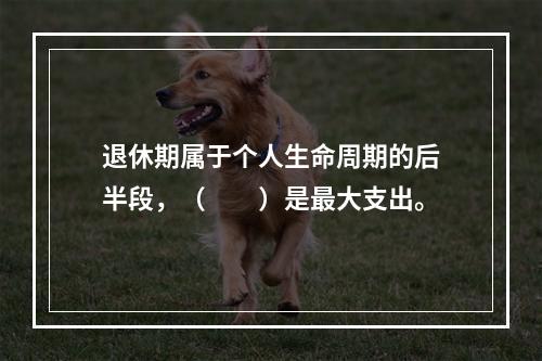 退休期属于个人生命周期的后半段，（　　）是最大支出。