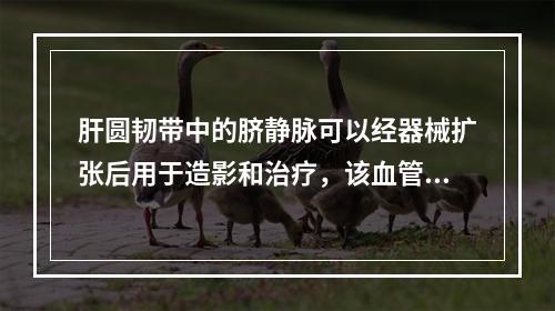 肝圆韧带中的脐静脉可以经器械扩张后用于造影和治疗，该血管直接