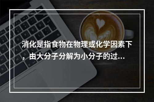 消化是指食物在物理或化学因素下，由大分子分解为小分子的过程。