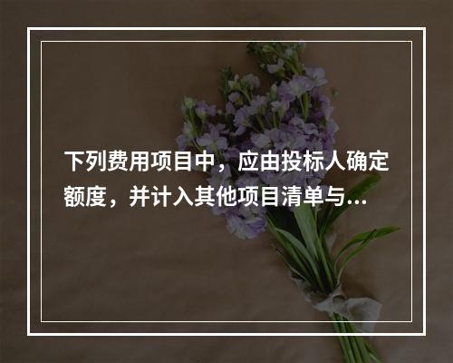 下列费用项目中，应由投标人确定额度，并计入其他项目清单与计价