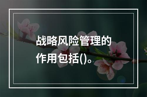 战略风险管理的作用包括()。