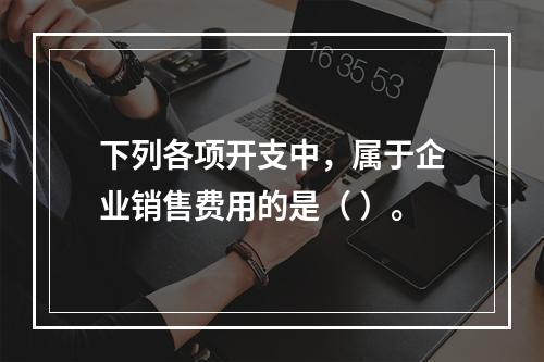 下列各项开支中，属于企业销售费用的是（ ）。