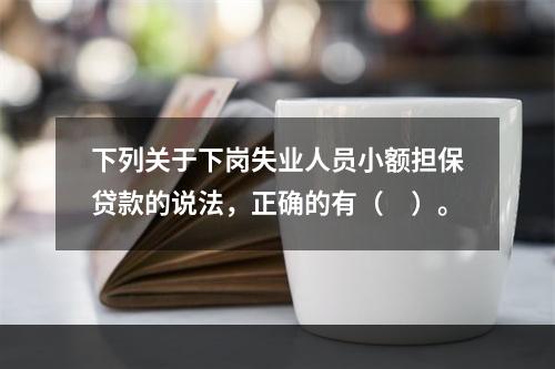 下列关于下岗失业人员小额担保贷款的说法，正确的有（　）。