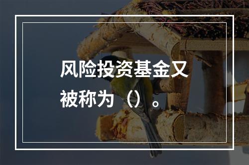 风险投资基金又被称为（）。