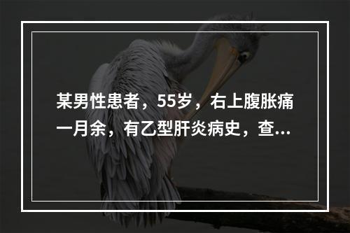 某男性患者，55岁，右上腹胀痛一月余，有乙型肝炎病史，查：血