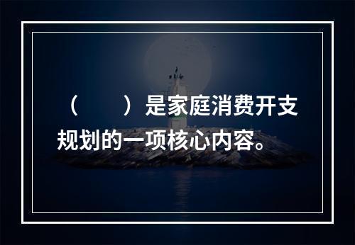 （　　）是家庭消费开支规划的一项核心内容。