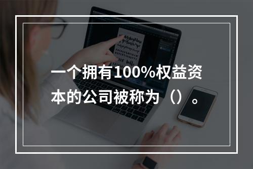 一个拥有100%权益资本的公司被称为（）。