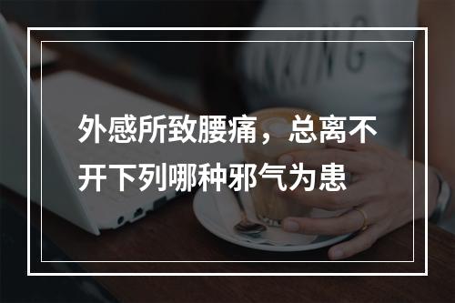 外感所致腰痛，总离不开下列哪种邪气为患