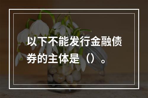 以下不能发行金融债券的主体是（）。