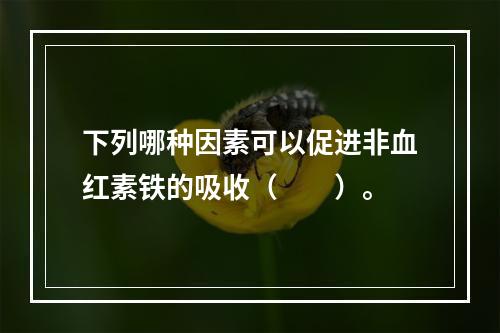 下列哪种因素可以促进非血红素铁的吸收（　　）。