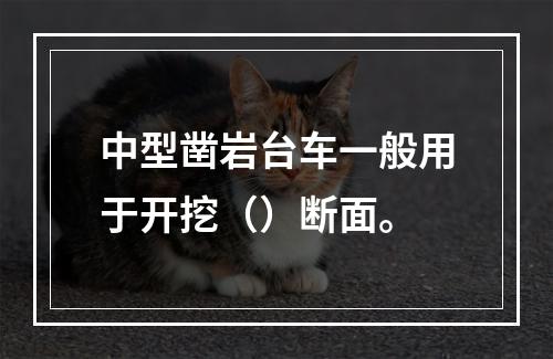 中型凿岩台车一般用于开挖（）断面。