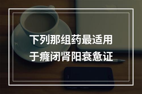 下列那组药最适用于癃闭肾阳衰惫证