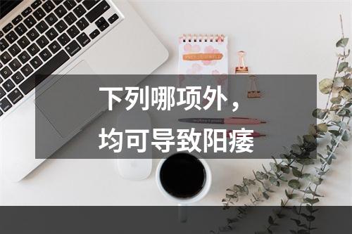 下列哪项外，均可导致阳痿