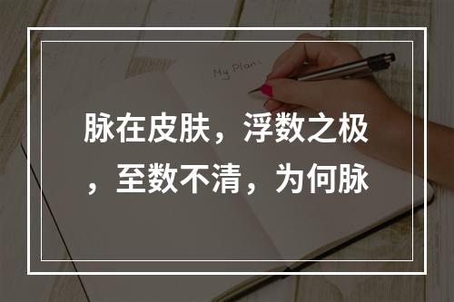 脉在皮肤，浮数之极，至数不清，为何脉