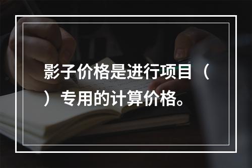 影子价格是进行项目（）专用的计算价格。