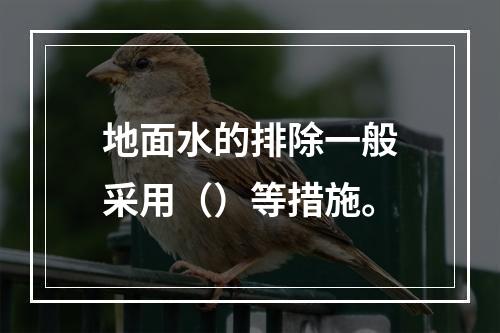 地面水的排除一般采用（）等措施。