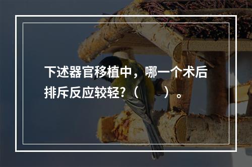 下述器官移植中，哪一个术后排斥反应较轻?（　　）。