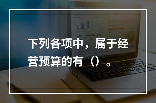 下列各项中，属于经营预算的有（）。