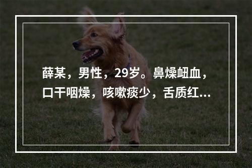 薛某，男性，29岁。鼻燥衄血，口干咽燥，咳嗽痰少，舌质红，苔