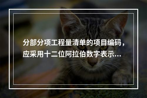 分部分项工程量清单的项目编码，应采用十二位阿拉伯数字表示。其