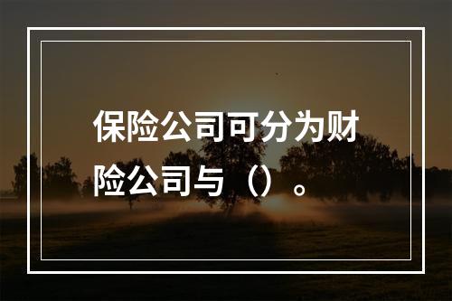 保险公司可分为财险公司与（）。