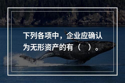 下列各项中，企业应确认为无形资产的有（　）。