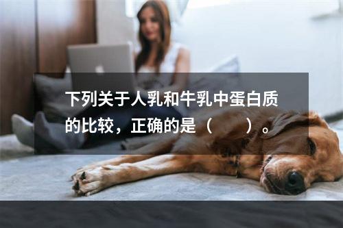 下列关于人乳和牛乳中蛋白质的比较，正确的是（　　）。