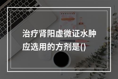 治疗肾阳虚微证水肿应选用的方剂是()