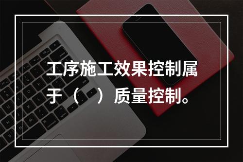 工序施工效果控制属于（　）质量控制。