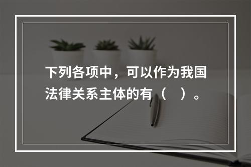 下列各项中，可以作为我国法律关系主体的有（　）。