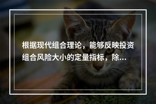 根据现代组合理论，能够反映投资组合风险大小的定量指标，除了组