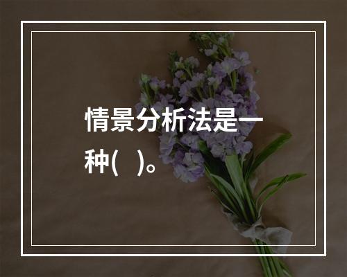 情景分析法是一种(   )。