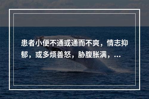 患者小便不通或通而不爽，情志抑郁，或多烦善怒，胁腹胀满，舌红