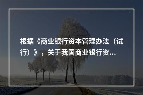 根据《商业银行资本管理办法（试行）》，关于我国商业银行资本充