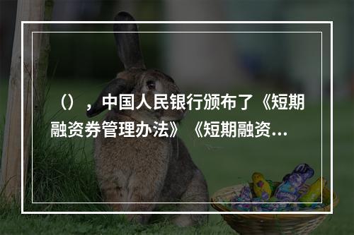 （），中国人民银行颁布了《短期融资券管理办法》《短期融资券承